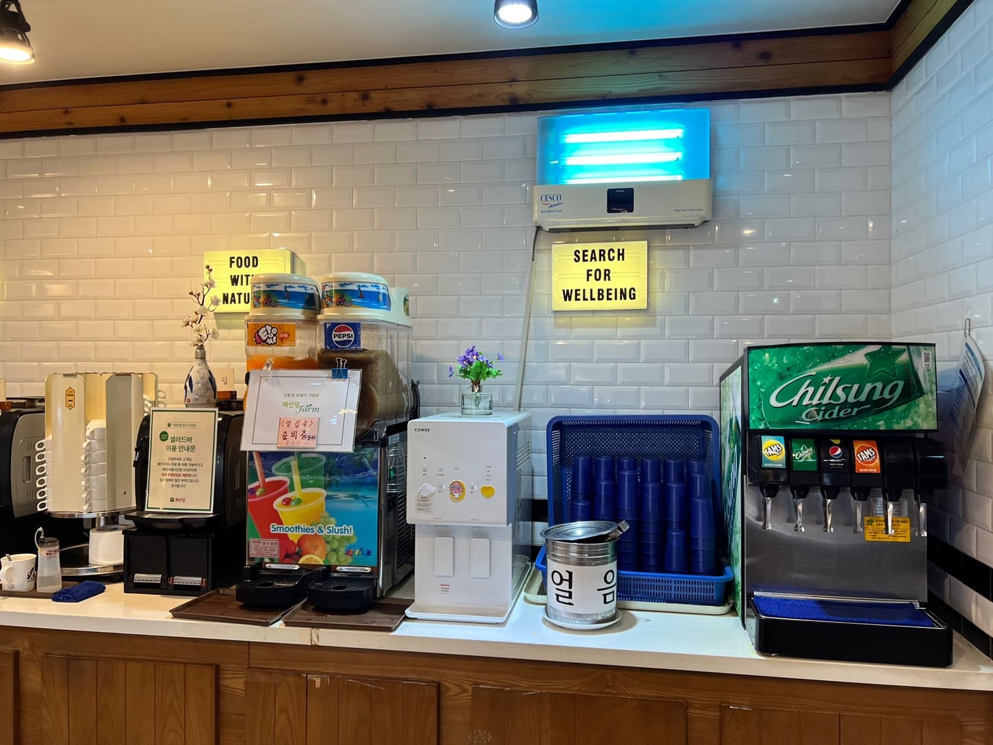 판교 샤브샤브&amp;#44; 채선당플러스 맛집후기