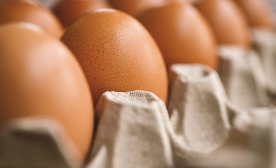 이마트 트레이더스 추천 아이템, 회원제 혜택