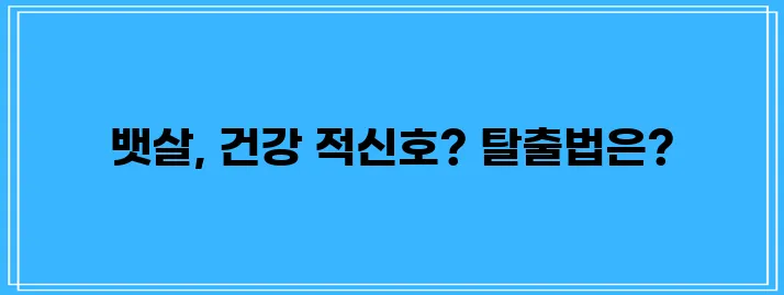 내장 지방 퇴치 확실한 방법으로 건강을 지켜내세요!