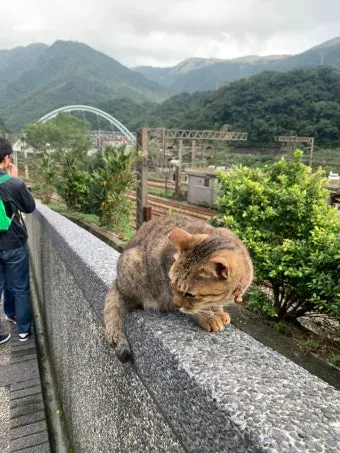 &amp;quot;대만