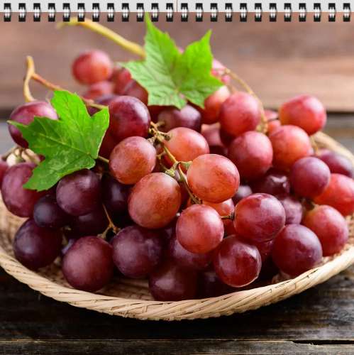 뇌를 젊게 유지하고 싶다면, 하루 한 줌의 포도를 놓치지 마세요