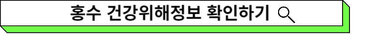 홍수 건강영향