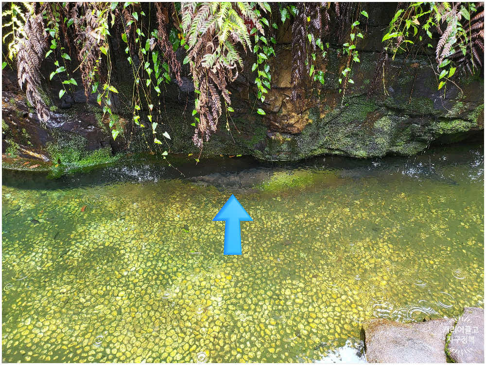 장가계 보봉호수