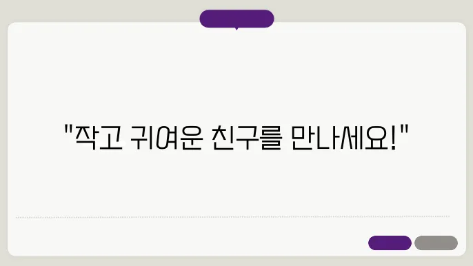 꼬똥 드툴레아가 소중한 친구를 찾는 곳