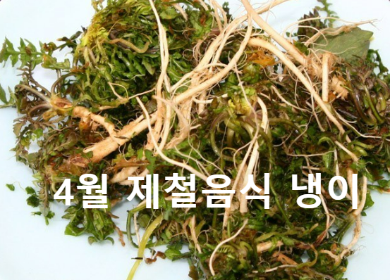 4월제철음식 냉이