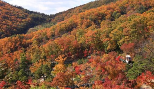 화담숲 예약 3분만에 성공하는 꿀팁