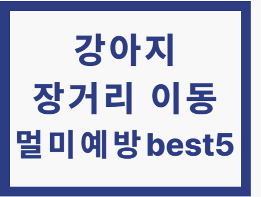 강아지 멀미 예방