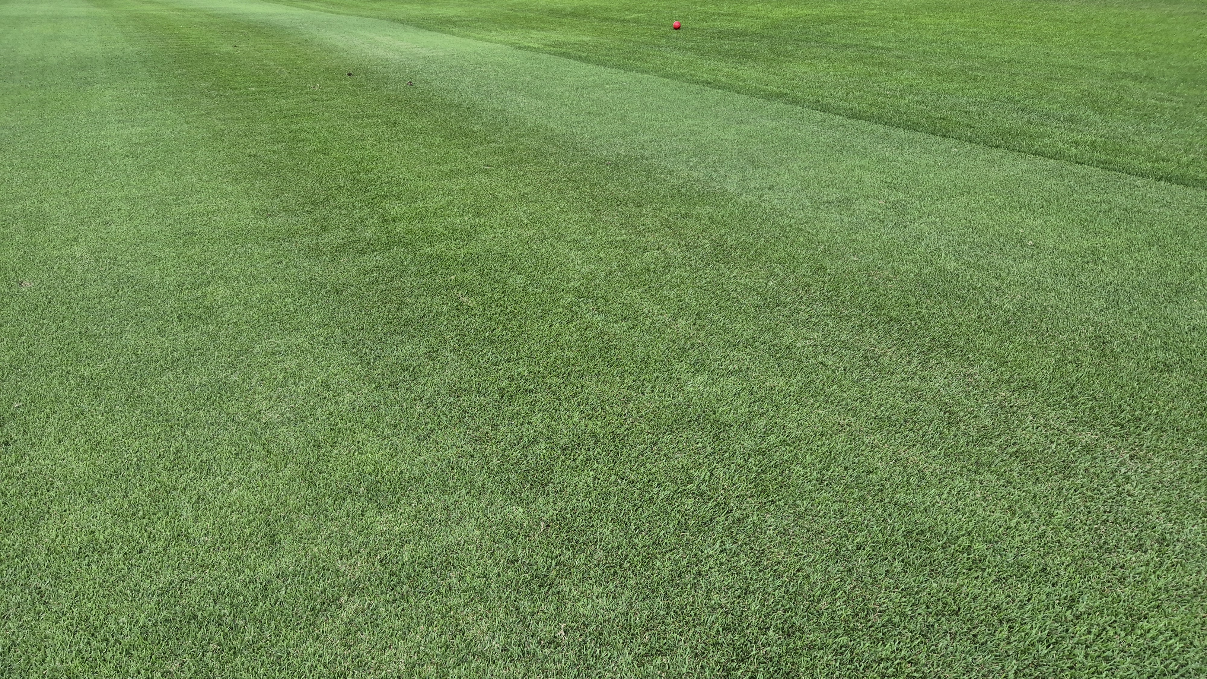 한성cc 오렌지-그린 코스 라운드 후기