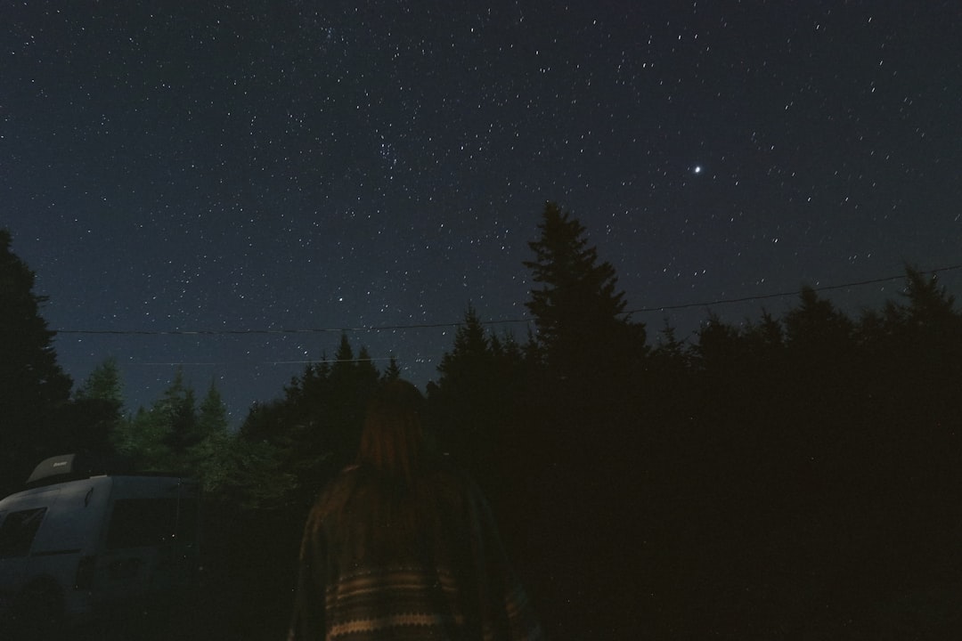 Starry Night Walk