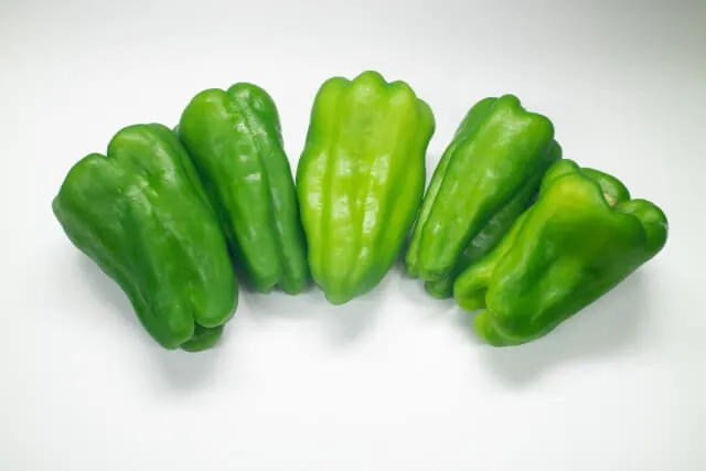 파프리카