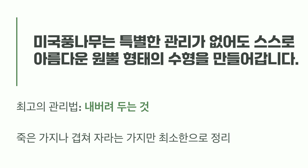 비결 5: 인위적인 손길보다는 자연스럽게