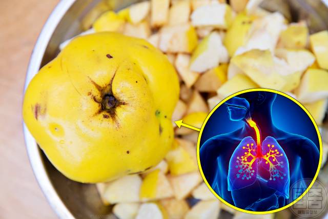 기관지에 좋은 음식 모과 목 칼칼 목이 간질간질