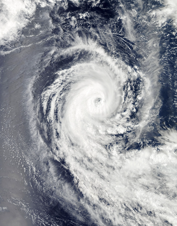 2024년 11호 태풍 야기