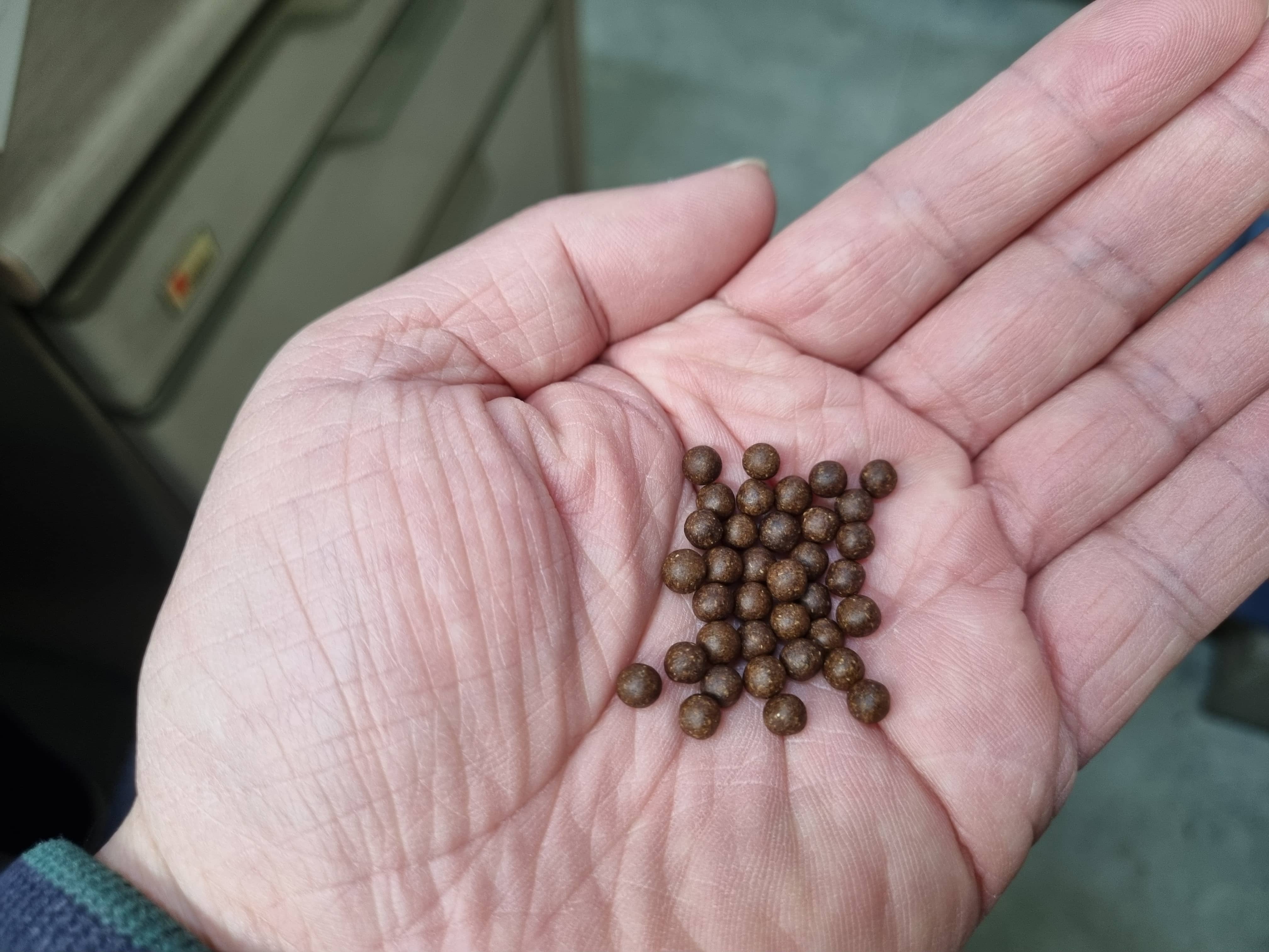 μλ°λ₯μ μμ·¨ νμ΄ λμ¬μλ λͺ¨μ΅