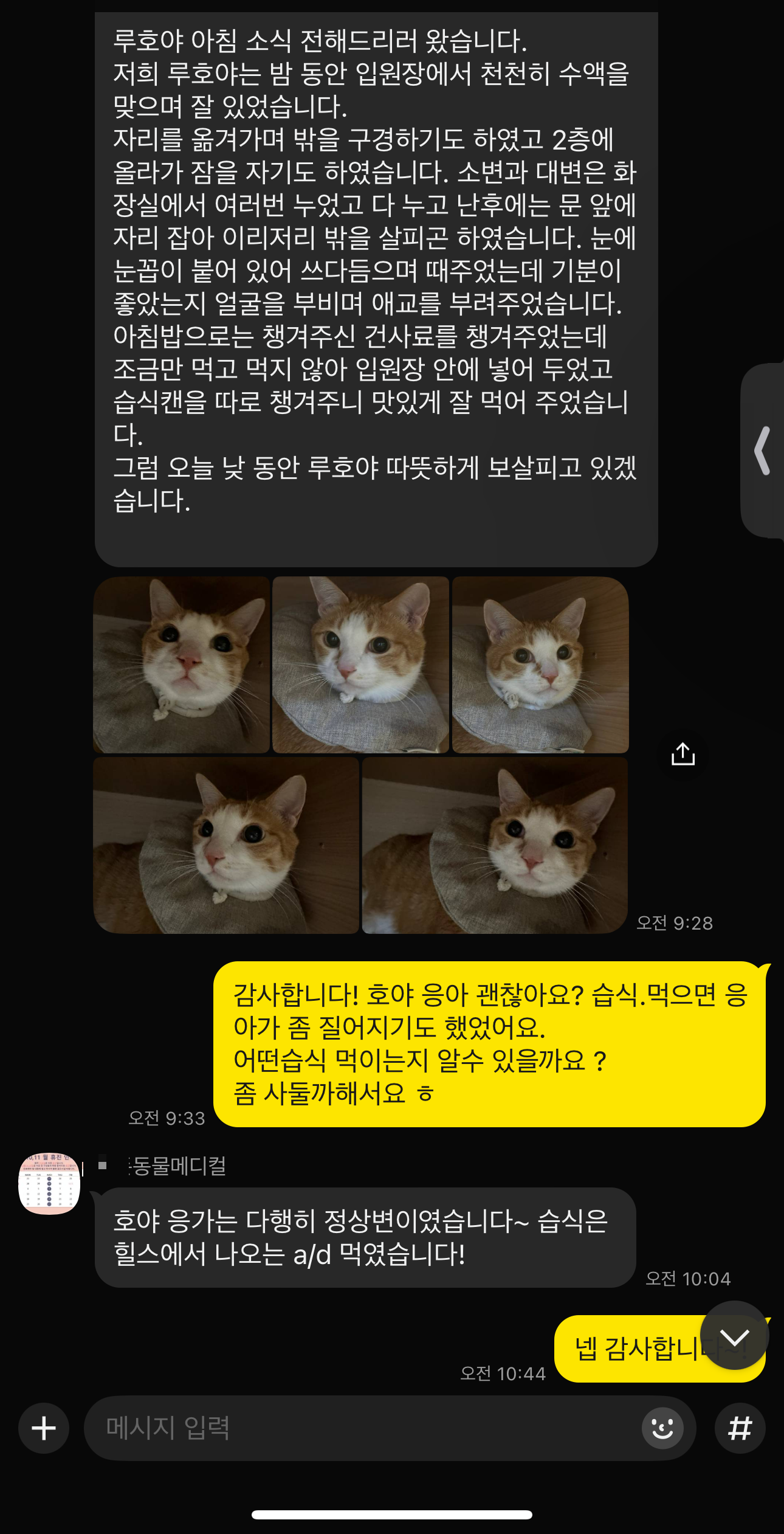 호야_입원한_병원에서_아침_저녁으로_보내주는_소식_4