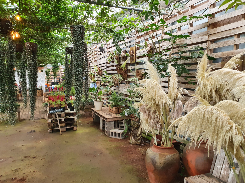 표선 보롬왓 정원