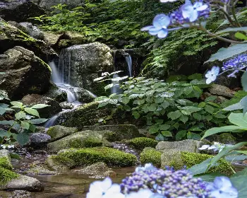 화담숲 예약_10
