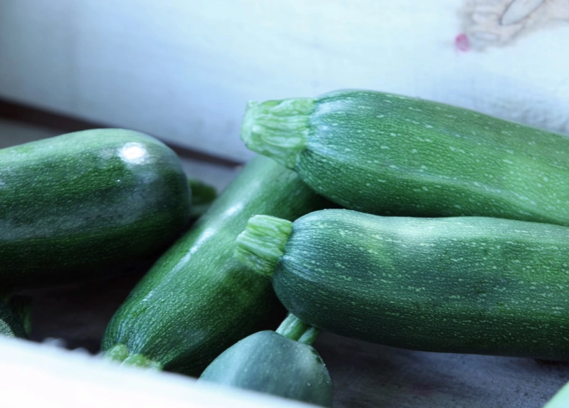 애호박 냉동보관