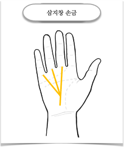 삼지창 손금