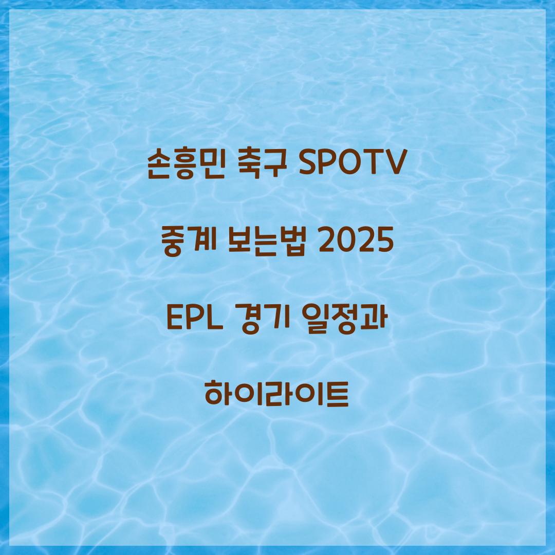 손흥민 축구 SPOTV 중계 보는법