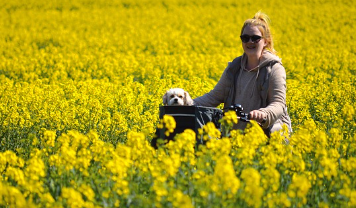 항공권-싸게-구입하는-방법