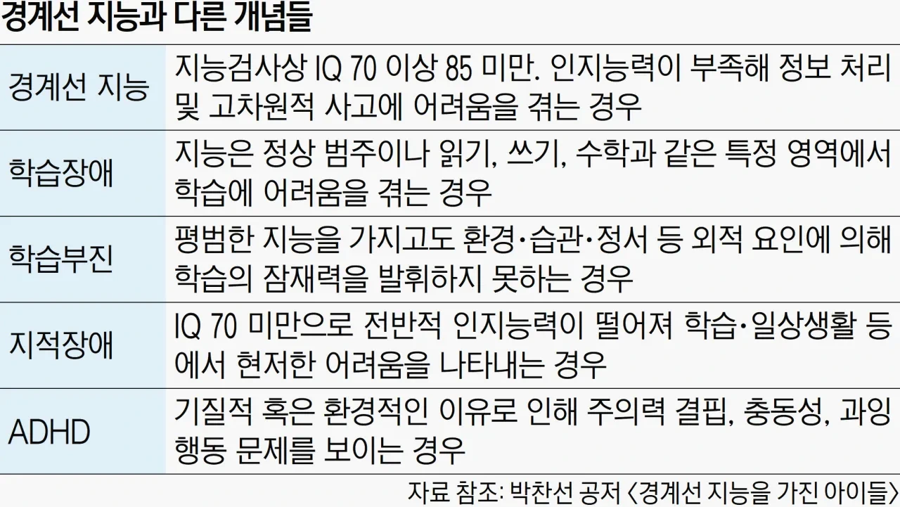 경계성지능장애 정의 증상 치료 지원에 대해서 알아봐요