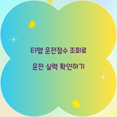 티맵 운전점수 조회