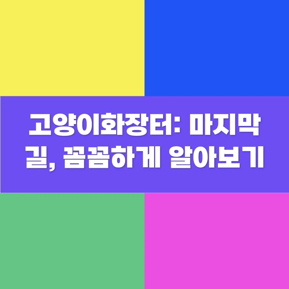 썸네일 이미지