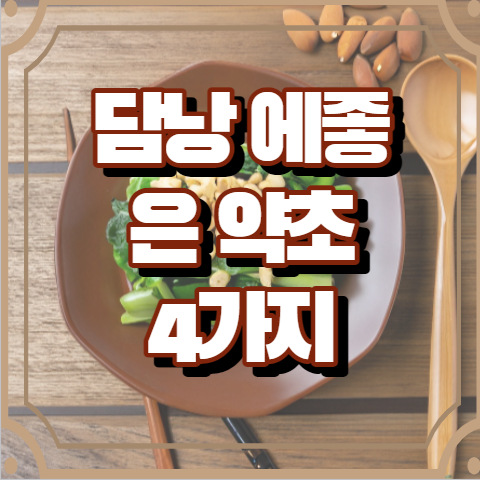 담낭에 좋은 약초 4가지