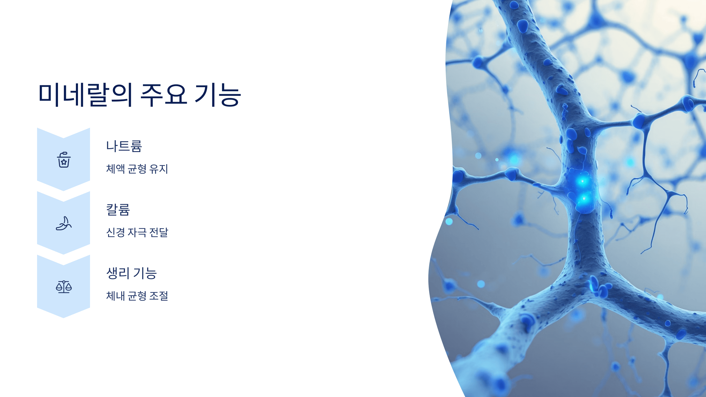 미네랄과 관련된 사진입니다.