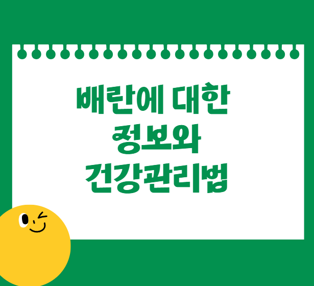 배란에 대한 정보와 건강관리법