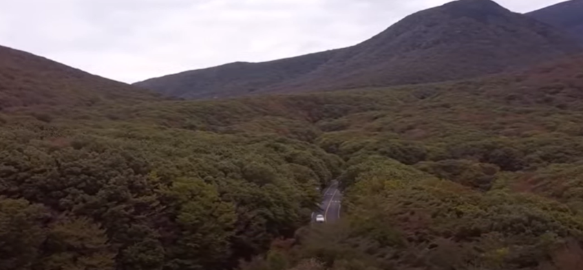 2023년 단풍시기