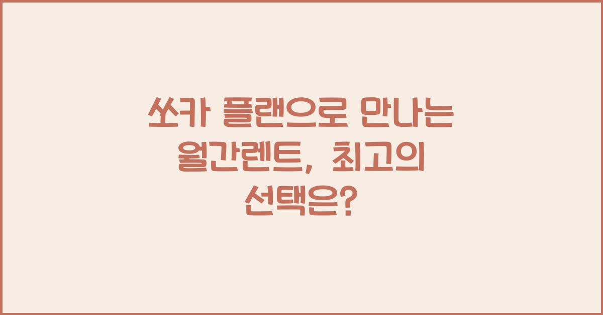 쏘카 플랜