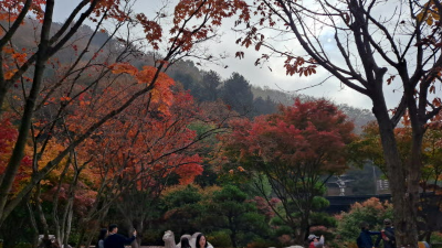 단풍명소_화담숲_자연생태관