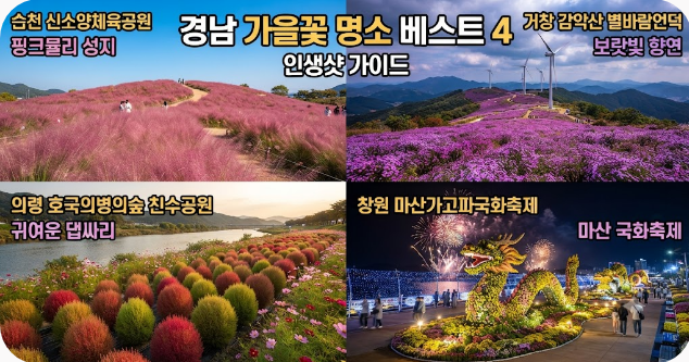 경남 가을꽃 명소
