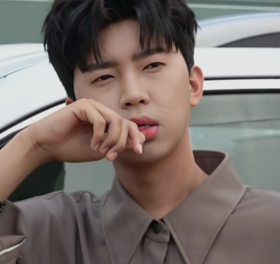 임영웅 수입 모래알갱이 노래모음 논란