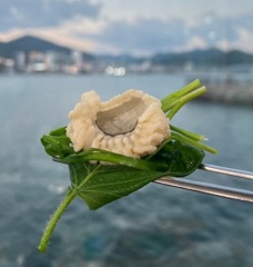 갯장어샤브샤브