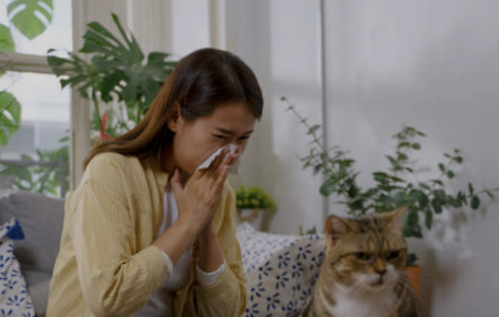 가래에좋은음식추천