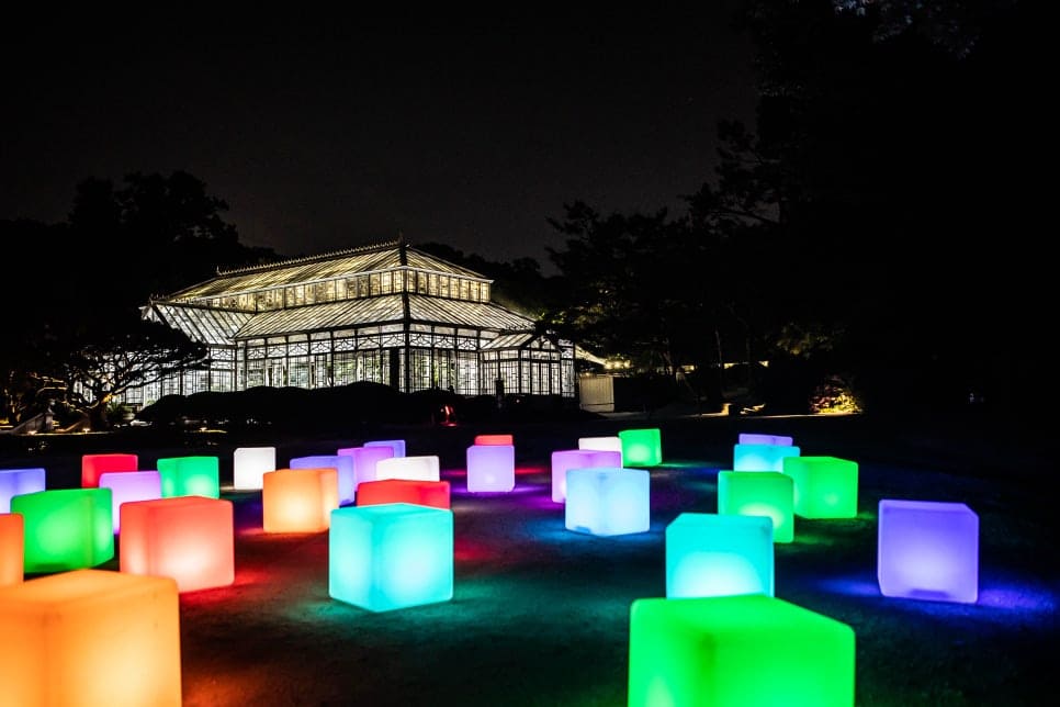 창경궁 물빛연화 미디어아트