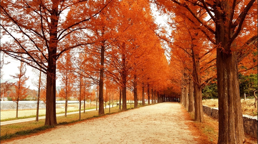 대한민국 구석구석 (가을 여행 할인 혜택)