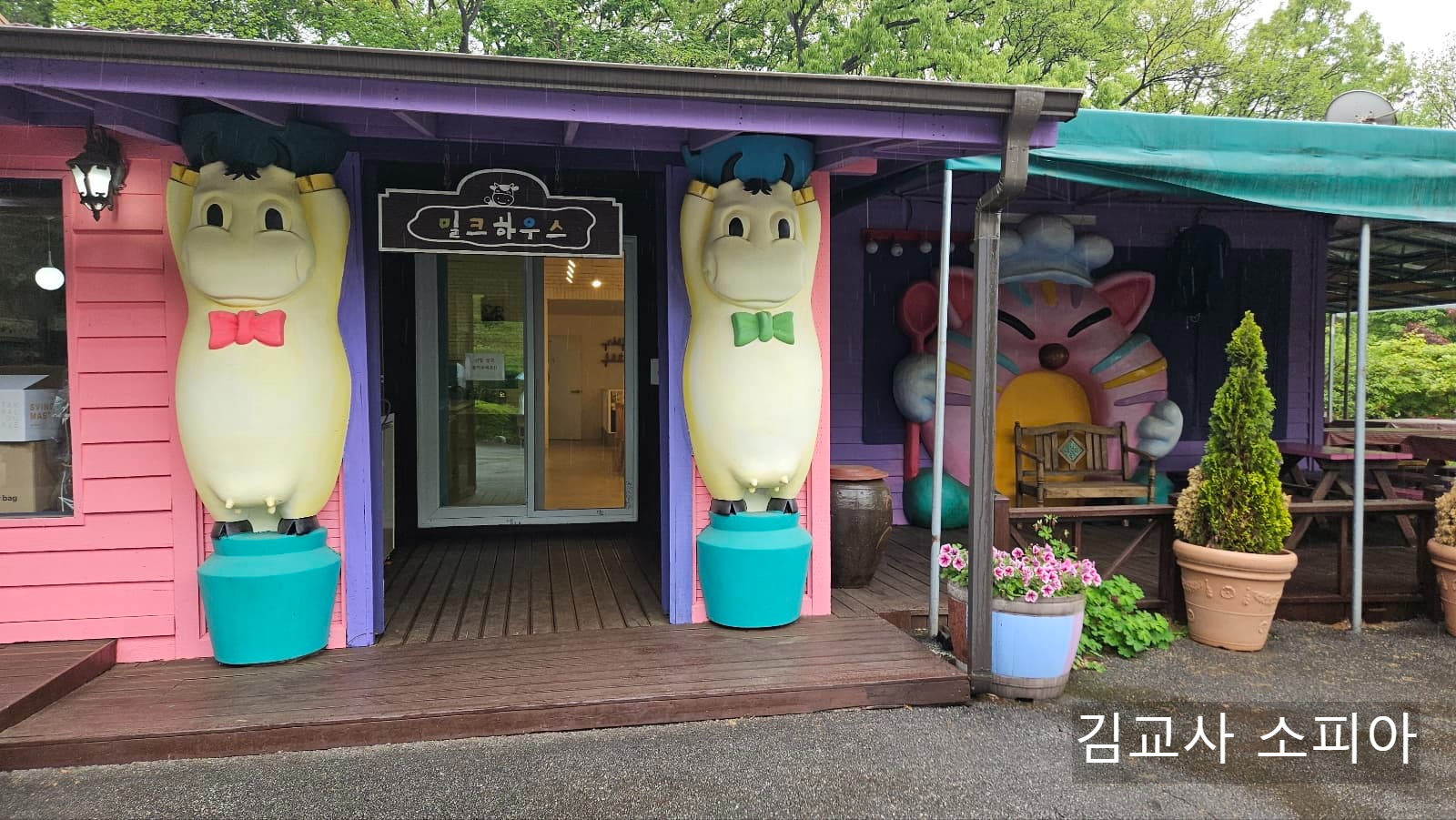 아이와 함께 체험하기 좋은 파주 모산목장🎈유치원 가족행사 장소로 딱! 우유주기부터 치즈까지🐄🧀