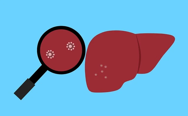 B형간염 증상·원인·치료 총정리