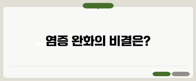 염증에 좋은 음식 꾸준히 먹으면 효과 확실!