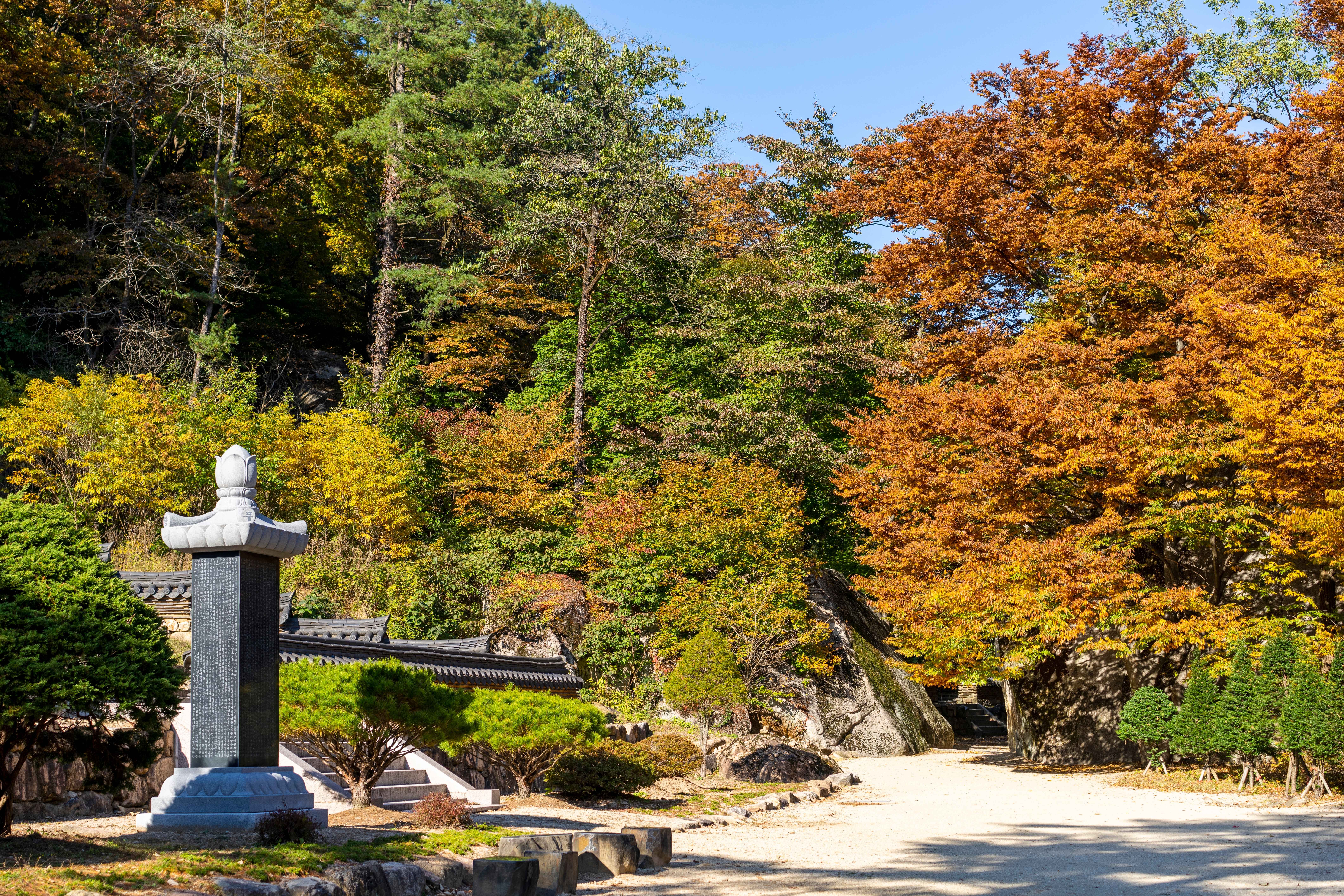 속리산 보은 법주사