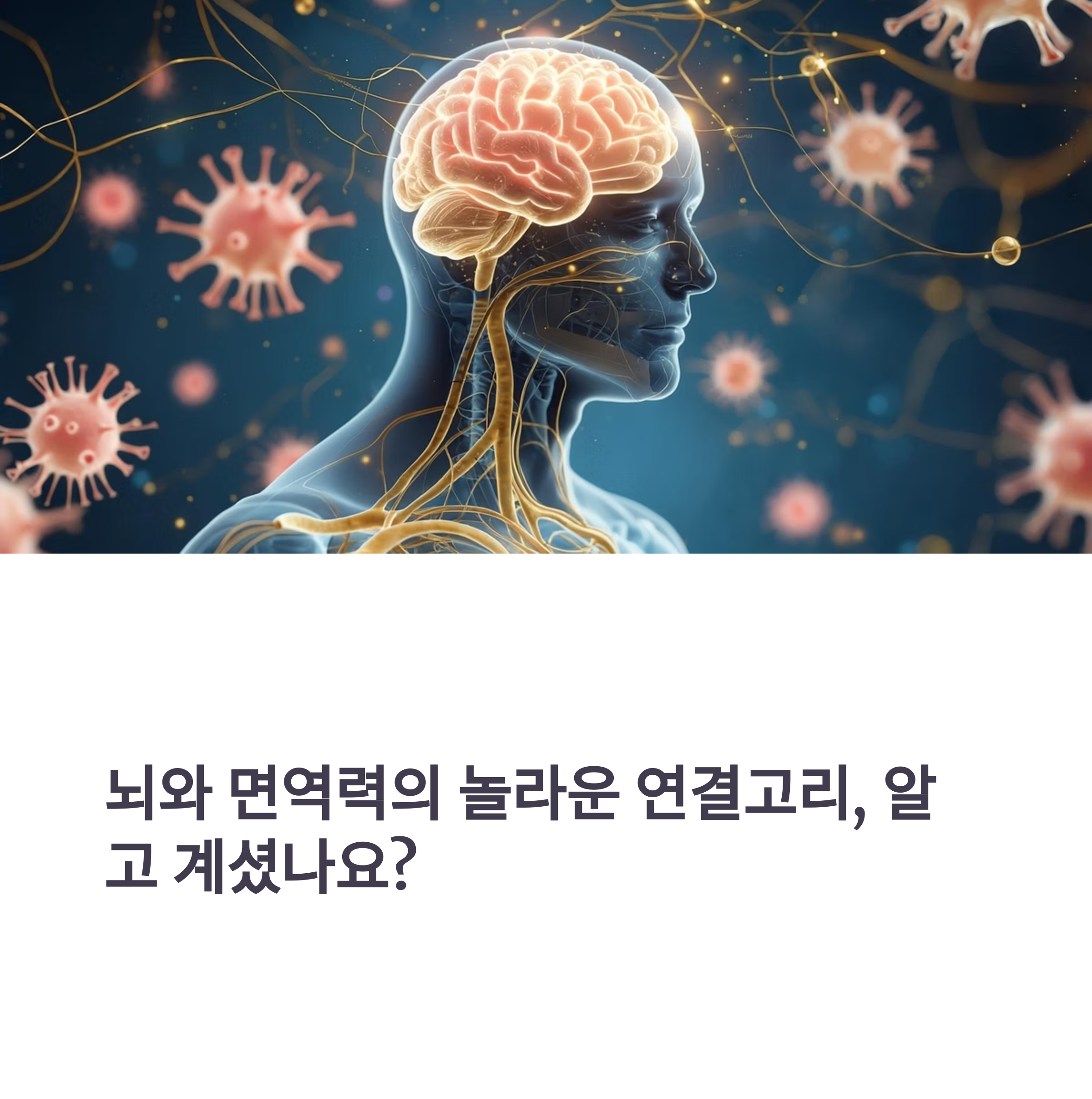 알고 보면 하나로 연결된 놀라운 비밀