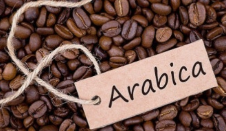 Arabica