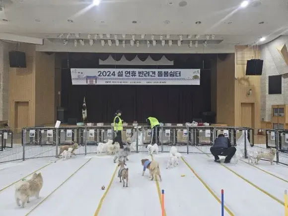 노원구 설 연휴 &amp;#39;반려견 돌봄쉼터&amp;#39; 소개! [운영 기간 장소 시간 관리 신청 방법 가격 비용] 