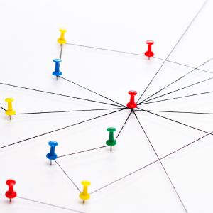 정서 지능의 구성요소