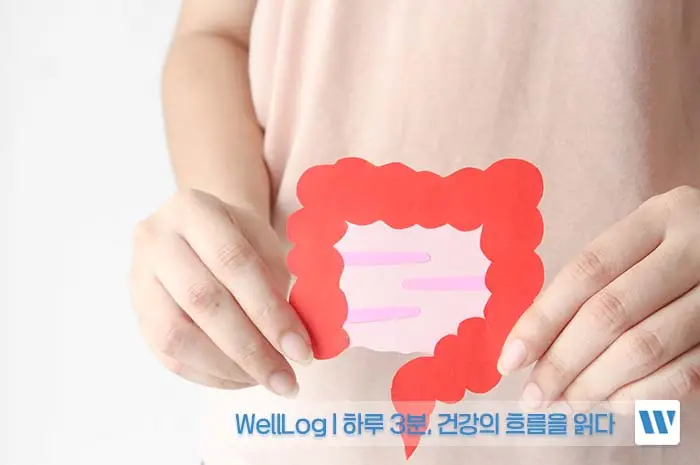 루피니빈&amp;#44; 파로 곡물 효능