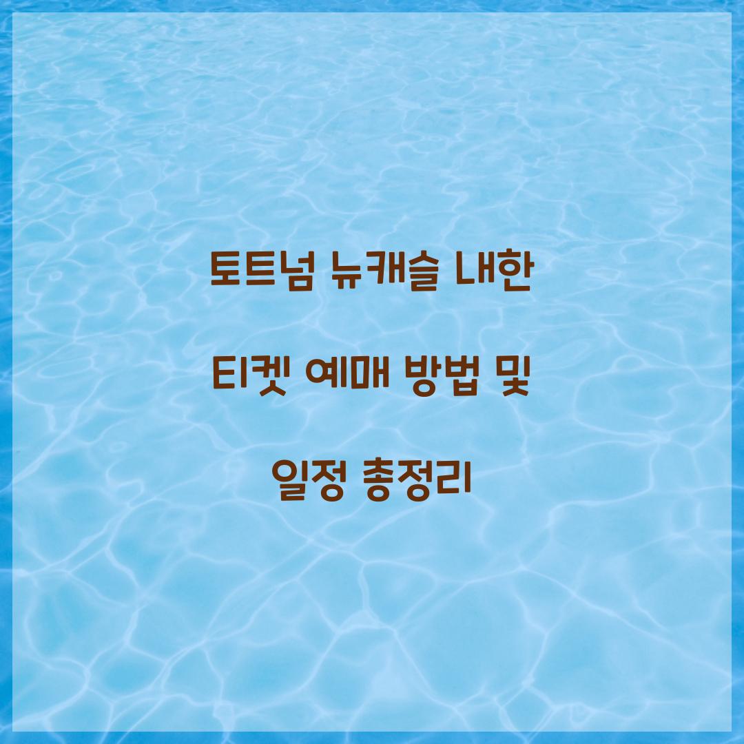 토트넘 뉴캐슬 내한 티켓 예매